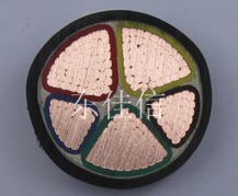 Dongjiaxin VV - PVC insulated power cable