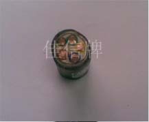 VV23 - ϩԵִװϩ׵